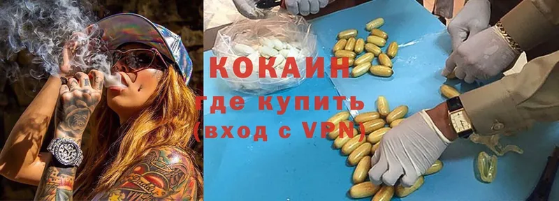 Кокаин Fish Scale  где купить наркоту  Городовиковск 